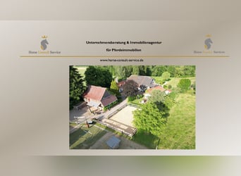 Propiedad histórica de molino en aislamiento, con alojamiento para caballos, energía hidroeléctrica