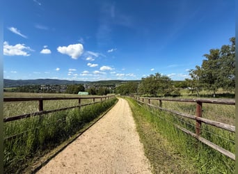 Propiedad privada con instalaciones ecuestres y vistas panorámicas, ubicada a las puertas de Bonn y