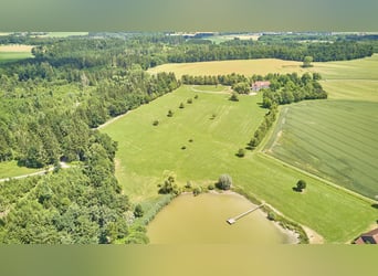 Propiedad privada para caballos en el distrito de Ravensburg, con varias viviendas y acceso al lago.