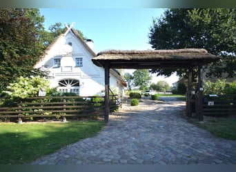 Rancho ecuestre en 5,7 hectáreas! Propiedad de ensueño con casa de techo de paja, casa de huéspedes 