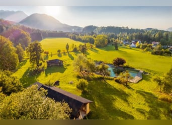 Raridad para amantes de los caballos: una finca paradisíaca