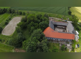 Rarität im OÖ Salzkammergut,  Nähe Gmunden, Österreich 