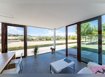 Ref2527 Andalusien, Ronda - moderner Reitstall/ Trainingszentrum zu verkaufen!