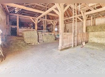 Reitanlage in Bayern mit historischem Wohnhaus und gepflegten Trainingsbedingungen!