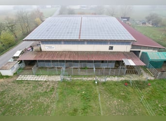 Reitanlage in Osterburken – vielseitige Nutzungsmöglichkeiten auf großzügigem Anwesen