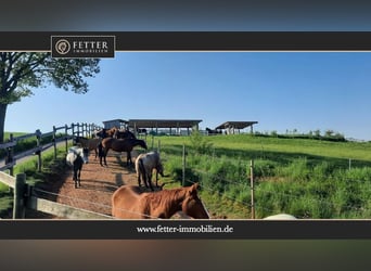 Reitanlage in Rheinland-Pfalz – moderner Aktivstall im Donnersbergkreis!