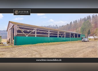 Reitanlage in Westfalen – Reitertraum im Dornröschenschlaf in Bad Laasphe