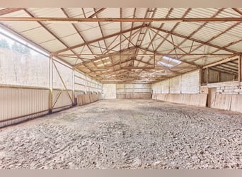 Reitanlage in Westfalen – Reitertraum im Dornröschenschlaf in Bad Laasphe