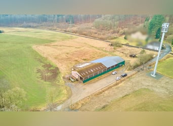 Reitanlage in Westfalen – Reitertraum im Dornröschenschlaf in Bad Laasphe