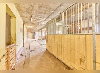Reitanlage in Westfalen – Reitertraum im Dornröschenschlaf in Bad Laasphe