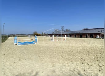 Reitanlage mit arrondierter Flächenausstattung in Alpen