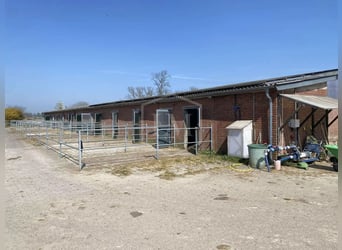 Reitanlage mit arrondierter Flächenausstattung in Alpen