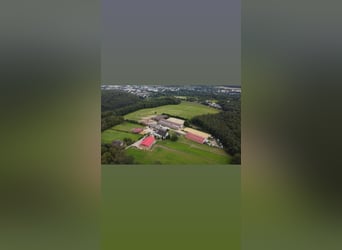 Reitbetrieb Reitanlage mit Mehrfamilienhaus