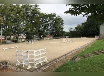 Reitsportanlage mit idealer Pferdeinfrastruktur nähe München