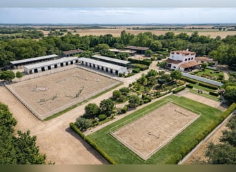 Reitzentrum in Castellón   //   Centro hípico en Castellón Sur