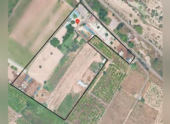 Reitzentrum in Castellón   //   Centro hípico en Castellón Sur