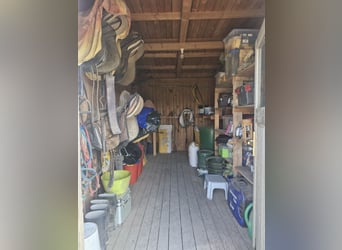 Se alquila establo privado en terreno en arrendamiento.