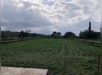 STUNNING EQUESTRIANPROPERTY/LANDHOUSE NEAR XATIVA/VALENCIA