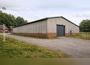 Terreno atractivo con construcción de establos y boxes para caballos – Heede, Código Postal 26892