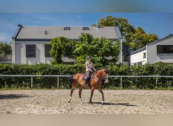 Terreno soñado de 2.075 m² para caballos y personas con derecho a construir establos en Lonnig, Rena