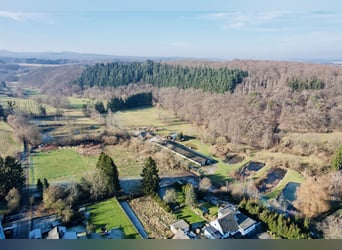 Traumgrundstück für Mehrgenerationenwohnsitz mit Reitanlage -Alleinlage bei Montabaur