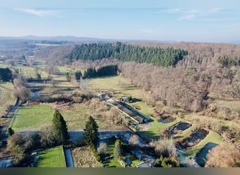 Traumgrundstück für Mehrgenerationenwohnsitz mit Reitanlage -Alleinlage bei Montabaur