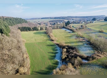 Traumgrundstück für Mehrgenerationenwohnsitz mit Reitanlage -Alleinlage bei Montabaur