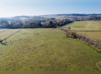Traumgrundstück für Mehrgenerationenwohnsitz mit Reitanlage -Alleinlage bei Montabaur