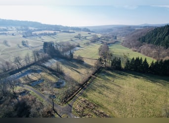 Traumgrundstück für Mehrgenerationenwohnsitz mit Reitanlage -Alleinlage bei Montabaur