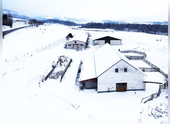 Traumhafte Reitanlage mit Reiterstube – Alleinlage inmitten Südthüringer Natur + perfekte Anbindung
