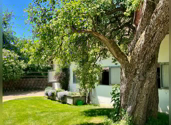 Ubicado en una zona completamente tranquila, con un concepto sólido: romanticismo de finca combinado