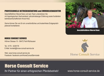 VENTA SECRETA - Al norte de Hamburgo: Exclusiva finca ecuestre con casa de vivienda