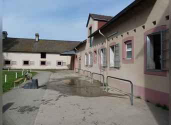 Vergabe der Reitsportanlage Monaise im Erbbaurecht