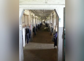 Vergabe der Reitsportanlage Monaise im Erbbaurecht