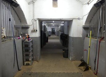 Vergabe der Reitsportanlage Monaise im Erbbaurecht