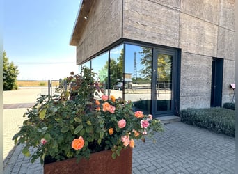 Villa de arquitectura moderna con pista cubierta de 60 m y un innovador concepto de manejo V14935