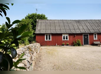 Vive el sueño en la puerta de Österlen: finca ecuestre, recinto para ciervos, río...