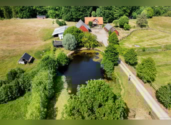 Vive el sueño en la puerta de Österlen: finca ecuestre, recinto para ciervos, río...