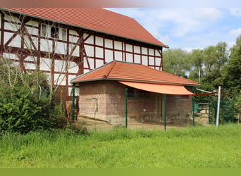 Wassermühle in Alleinlage   *Pferdehaltung *energieeffizient *provisionsfrei *alte Wasserrechte