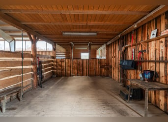 Welcome to this unique and thoughtfully designed equestrian property in Sweden 7,2 ha