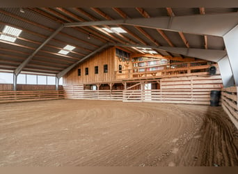 Welcome to this unique and thoughtfully designed equestrian property in Sweden 7,2 ha