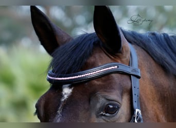 Frontalera de perlas rosas Lazypony / Pink pearl browband Lazypony
