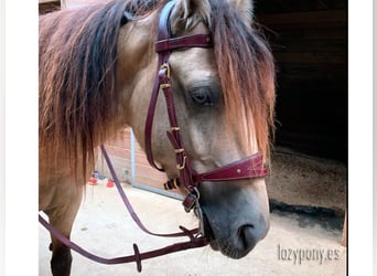 Cabezada Lazypony de estilo barroco, Fancy handcrafted baroque bridle Lazypony