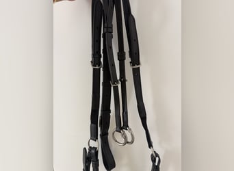 Breast plate Prestige