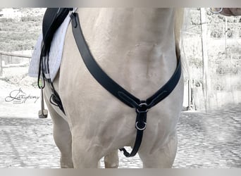 Pechopetral western Lazypony , Leather western breastplate Lazypony Pechopetral western Lazypony , Leather western breastplate Lazypony