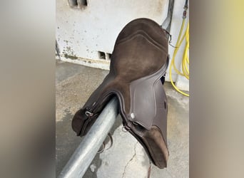 Zaldi New Kent 2G 17’5