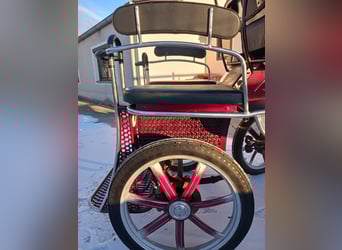 Leon von Hansmeier - Trainingswagen zu verkaufen