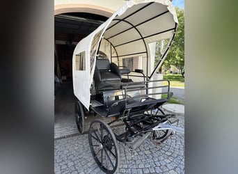 Carro de caballos con freno de disco