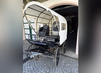Carro de caballos con freno de disco