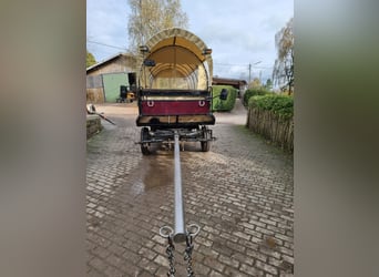 Carro de caballos para 16 personas